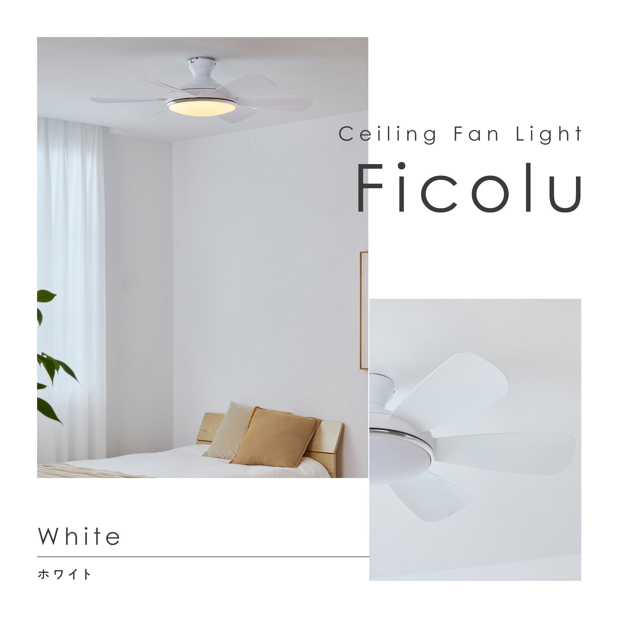 シーリングファンライト Ficolu （フィコル）