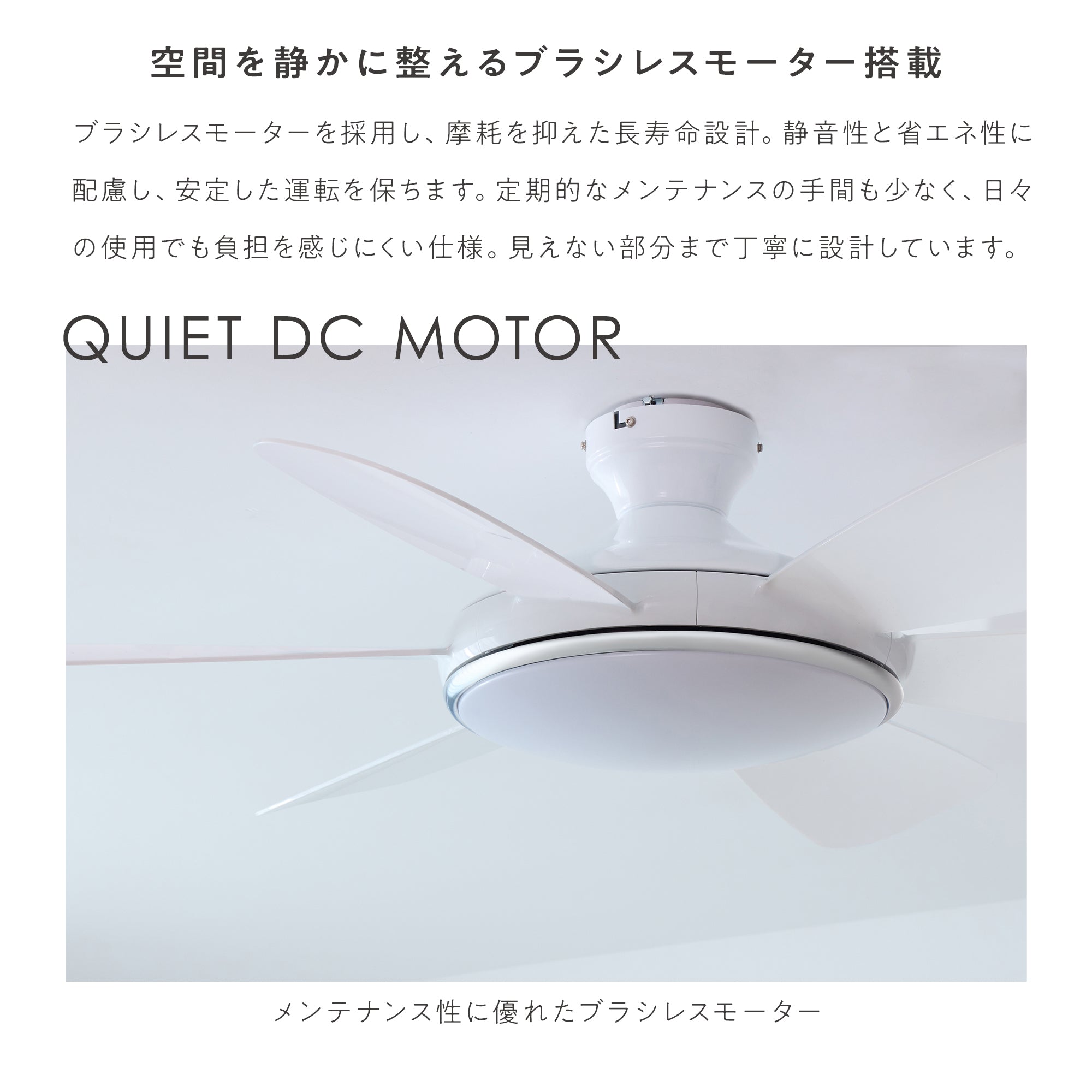 シーリングファンライト Ficolu （フィコル）
