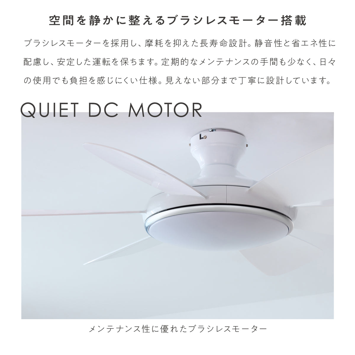 シーリングファンライト Ficolu （フィコル）