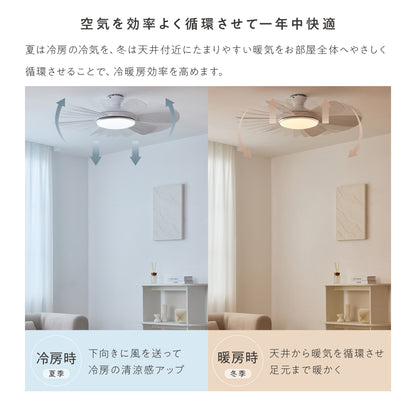 シーリングファンライト Ficolu （フィコル）