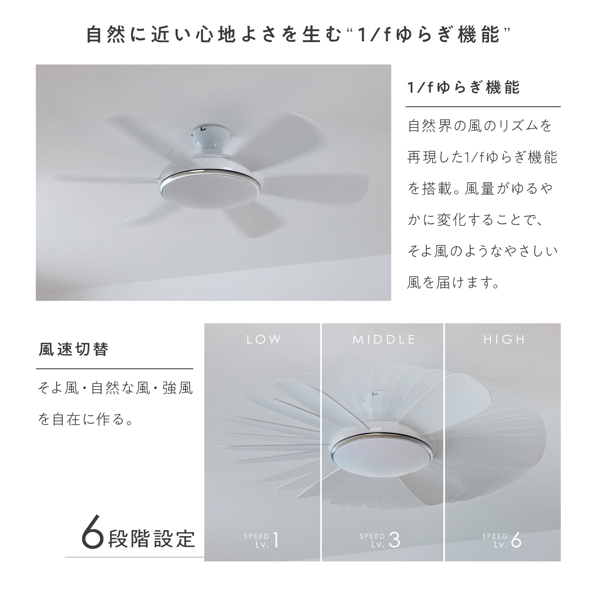 シーリングファンライト Ficolu （フィコル）