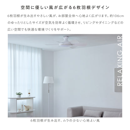 シーリングファンライト Ficolu （フィコル）