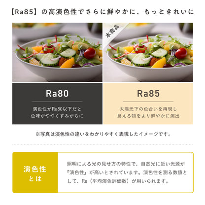 シーリングファンライト Fiore（フィオレ）