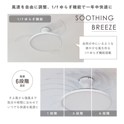 シーリングファンライト Fiore（フィオレ）