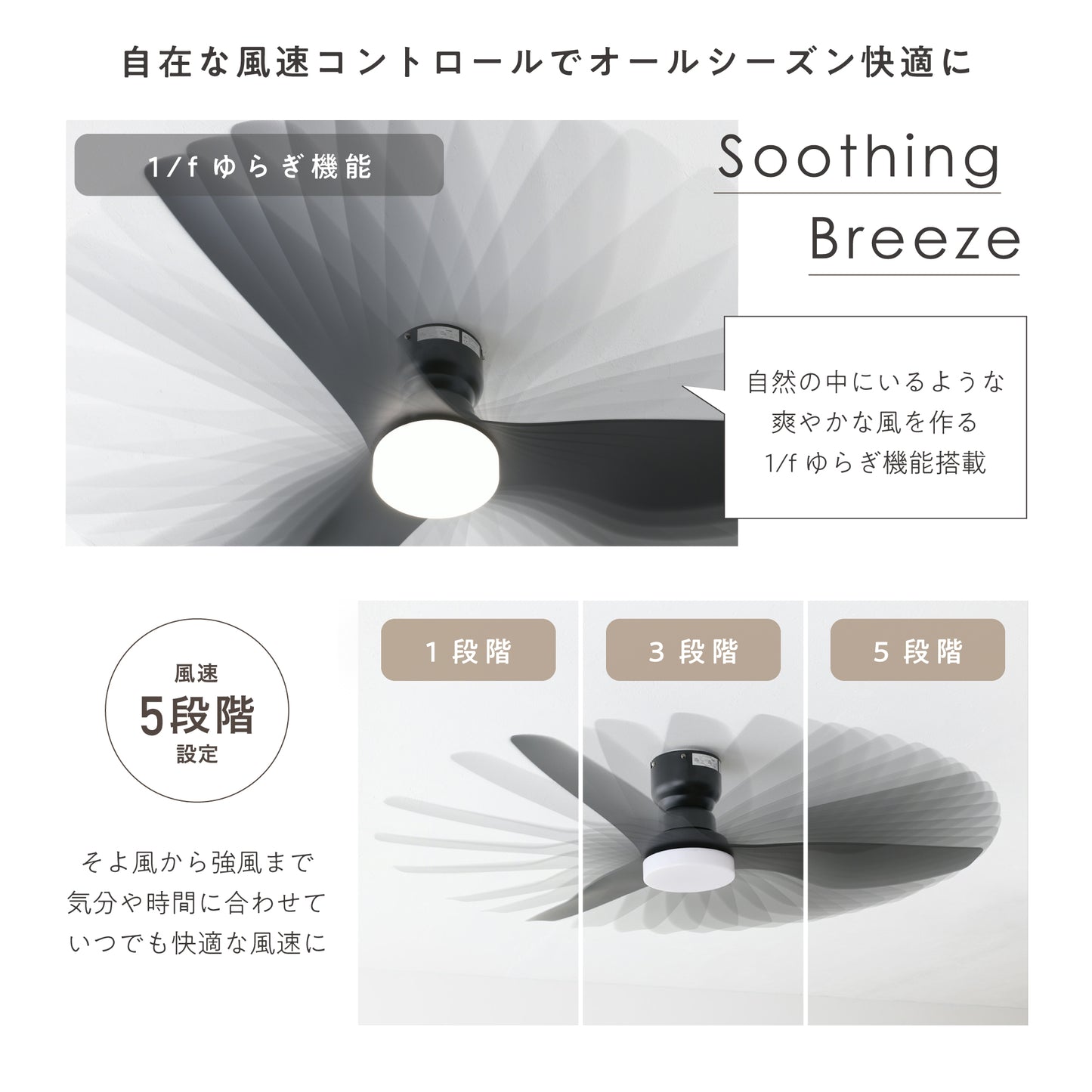 シーリングファンライト Fisso (フィッソ)