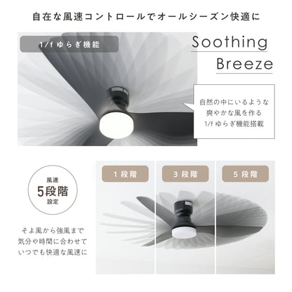 シーリングファンライト Fisso (フィッソ)