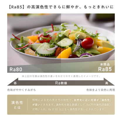 シーリングファンライト Flit（フリット）