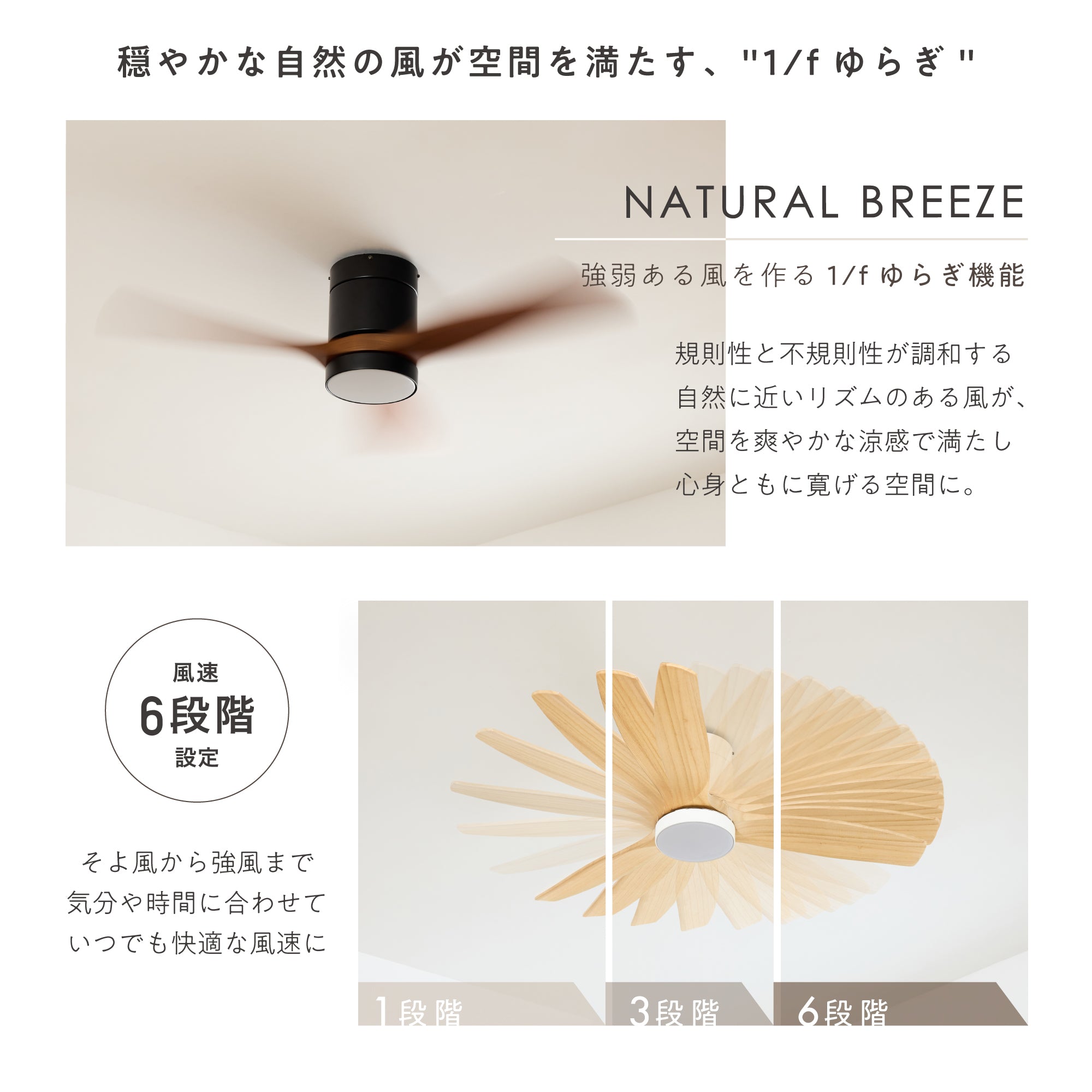 シーリングファンライト Flit（フリット）