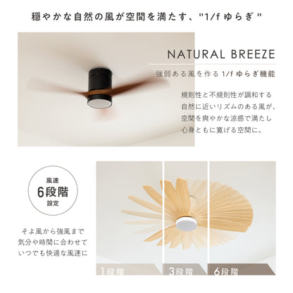 シーリングファンライト Flit（フリット）