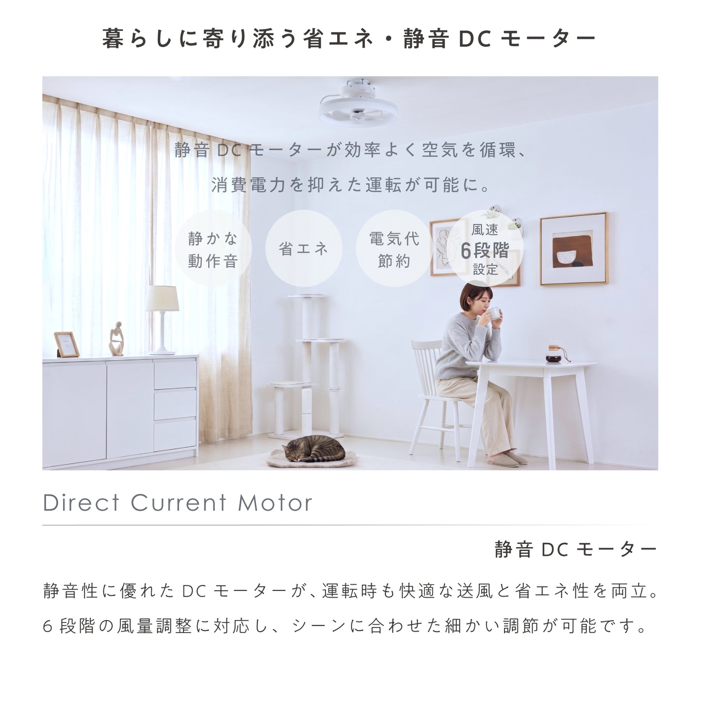 シーリングファンライト Freria（フレリア）