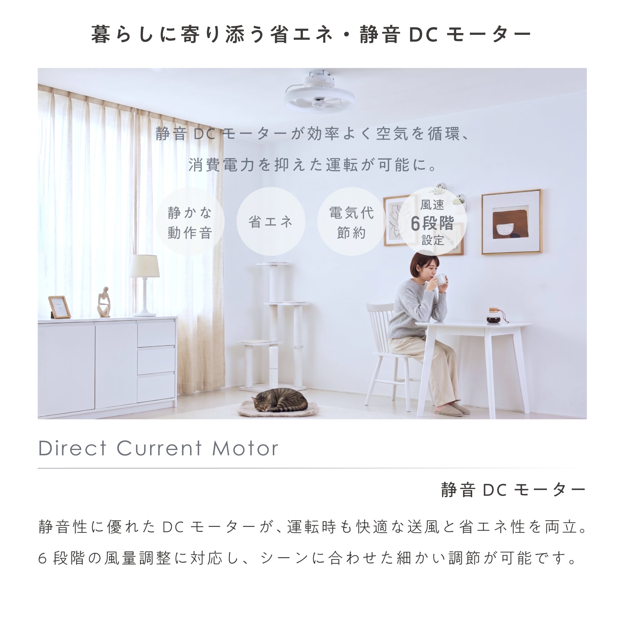 シーリングファンライト Freria（フレリア）
