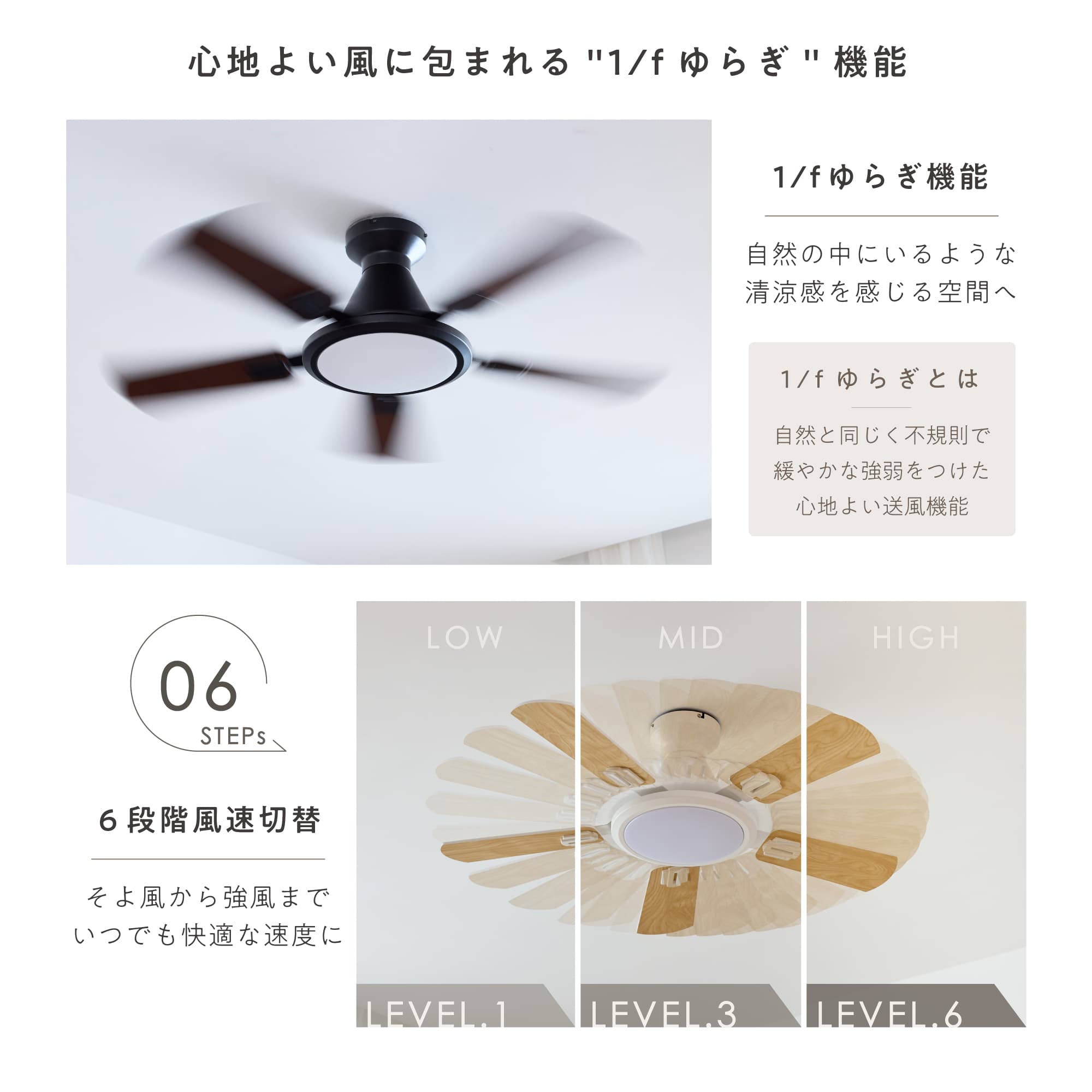 シーリングファンライト Ricol（リコル）