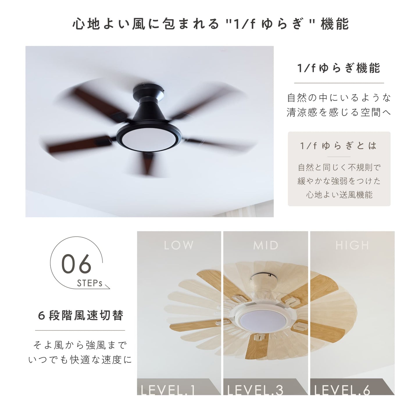 シーリングファンライト Ricol（リコル）