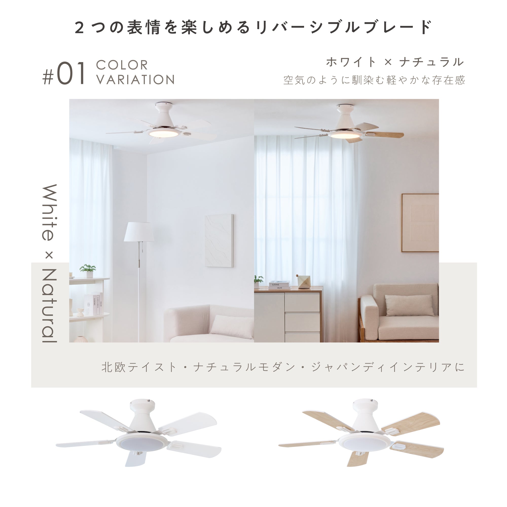 シーリングファンライト Ricol（リコル）
