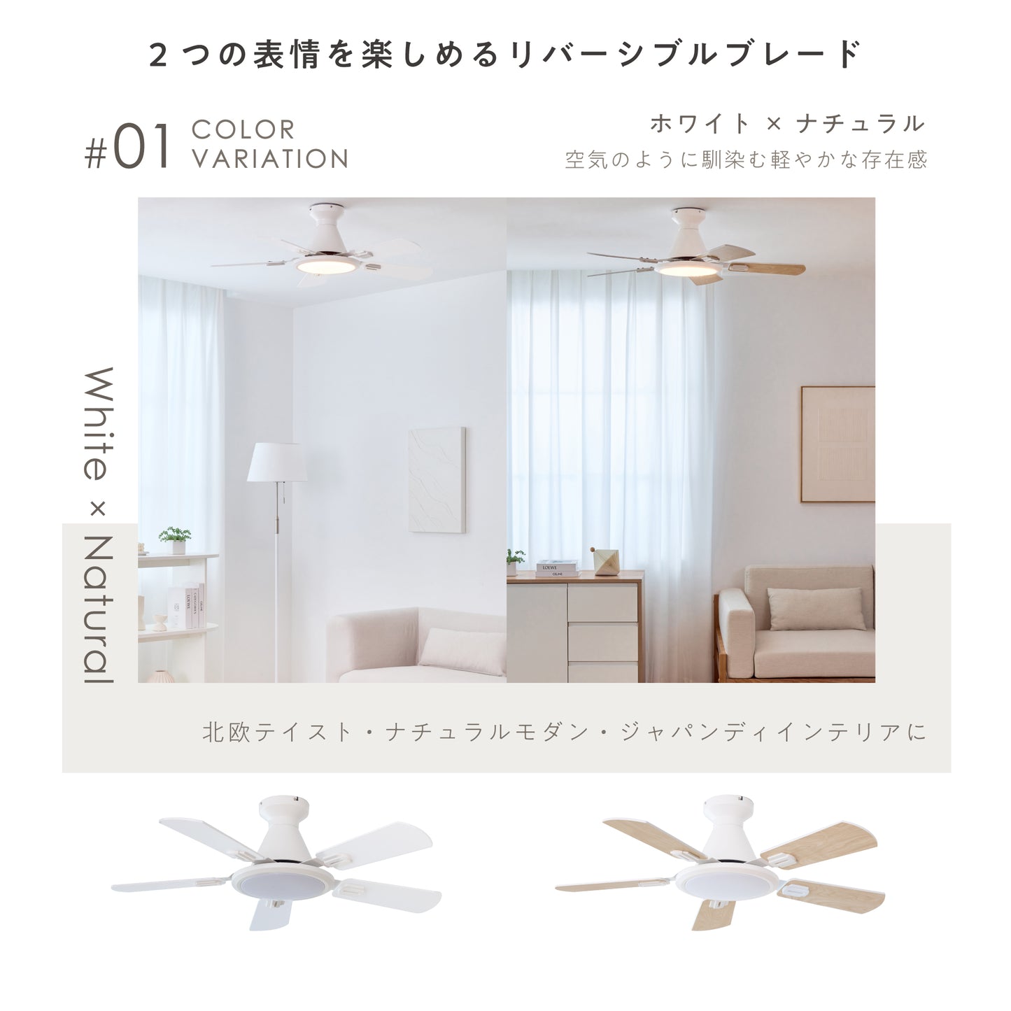 シーリングファンライト Ricol（リコル）