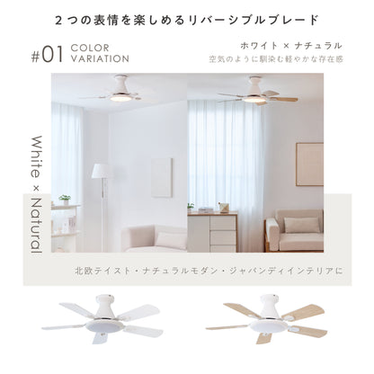 シーリングファンライト Ricol（リコル）