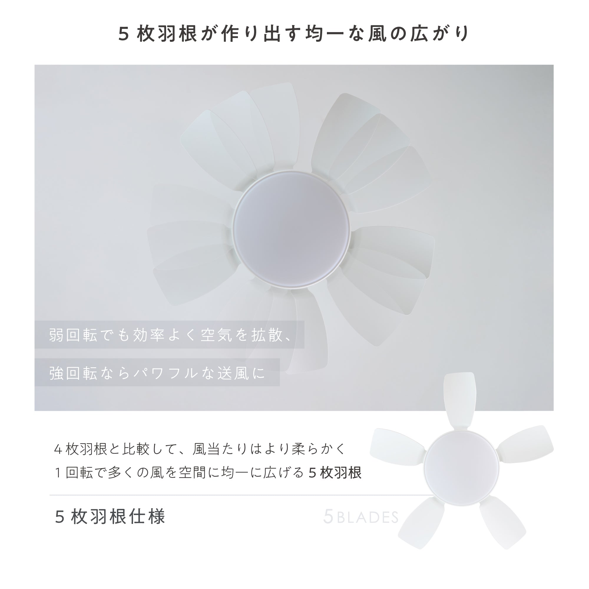 シーリングファンライト Semine（セミネ）