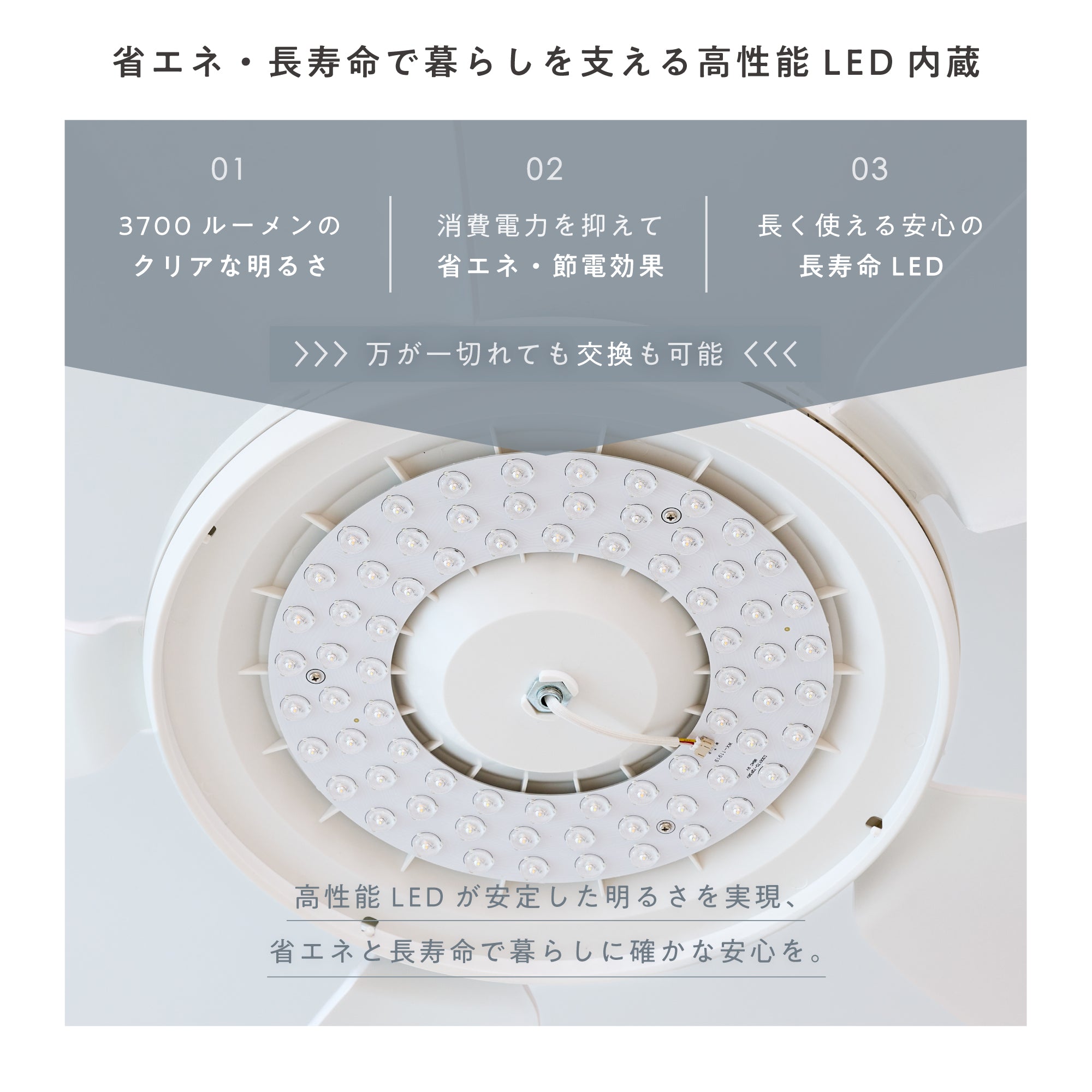 シーリングファンライト Semine（セミネ）