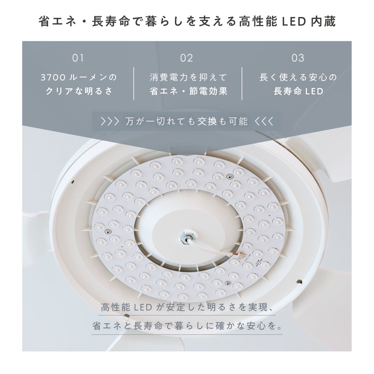 シーリングファンライト Semine（セミネ）