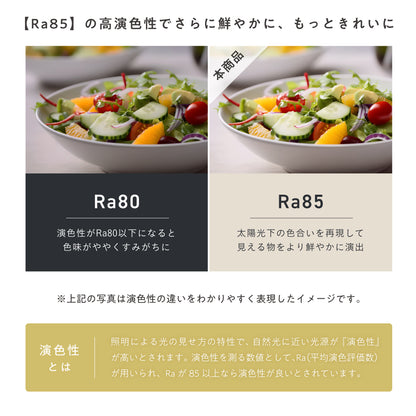 シーリングファンライト Semine（セミネ）