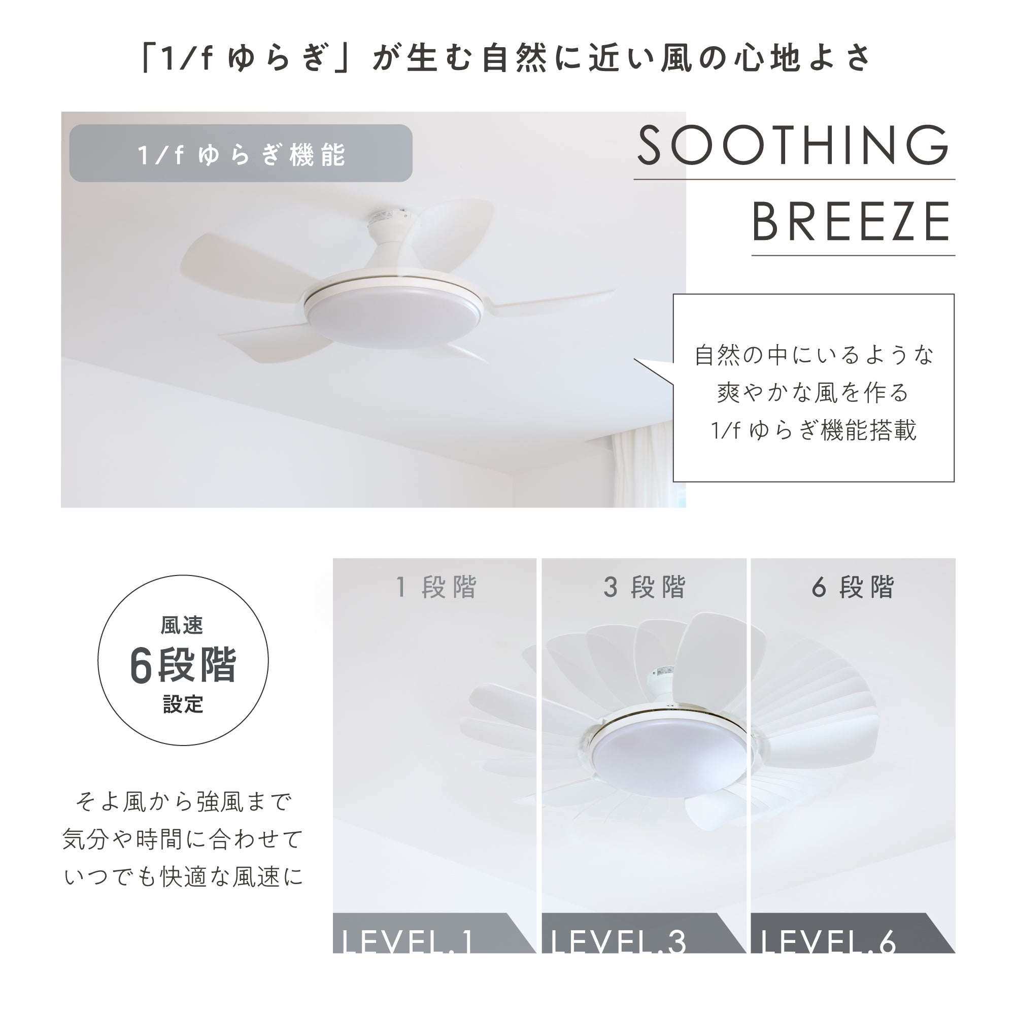 シーリングファンライト Semine（セミネ）