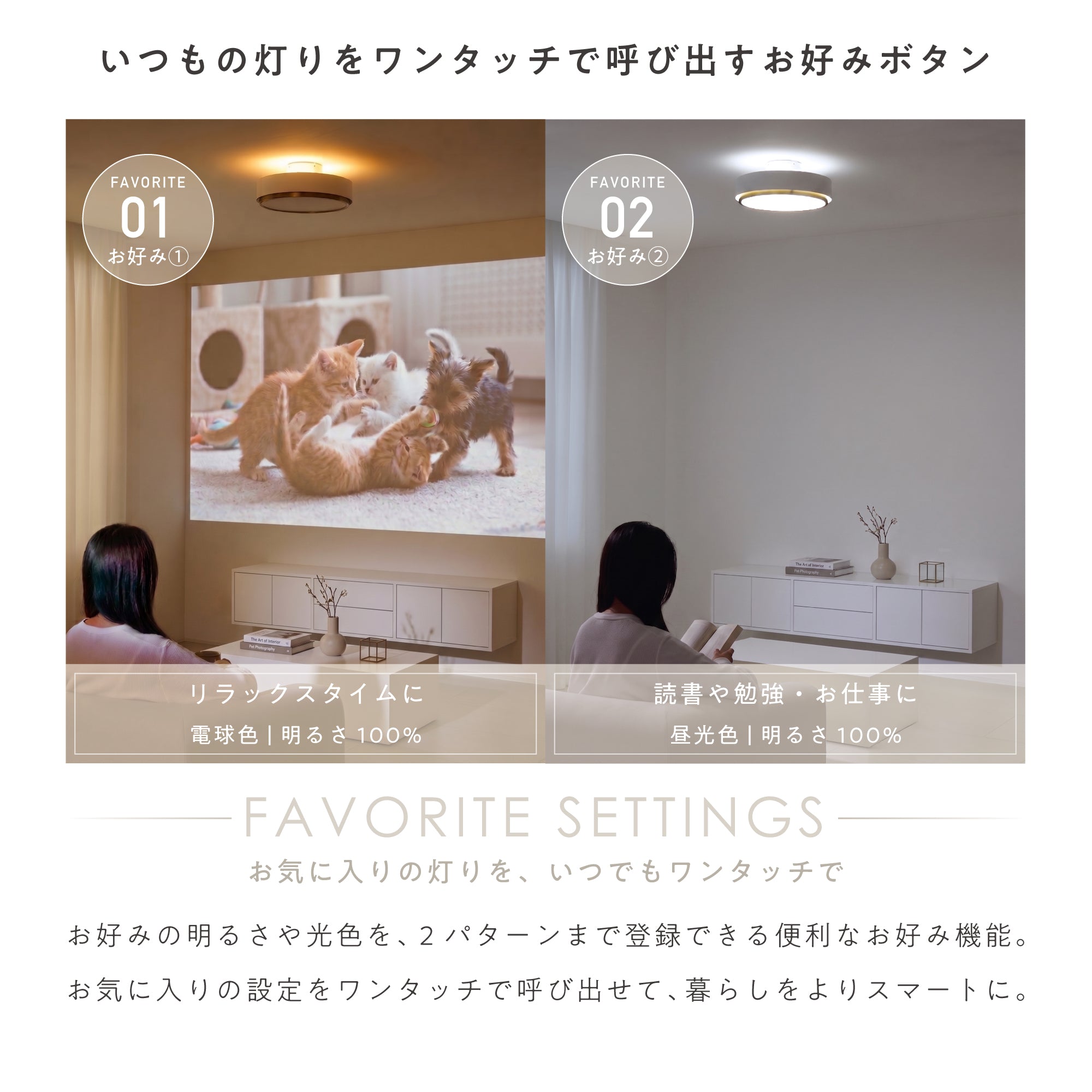 シーリングライト Doublit‐C（ダブリット-C）
