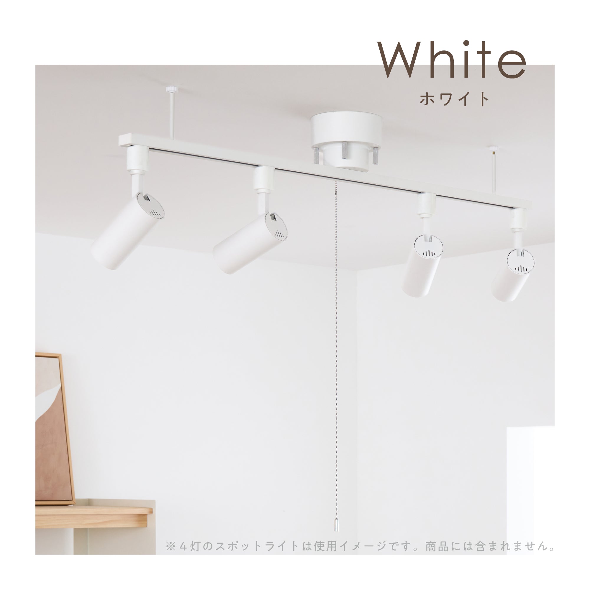 ダクトレール Kalos-C100（カロス-C100）