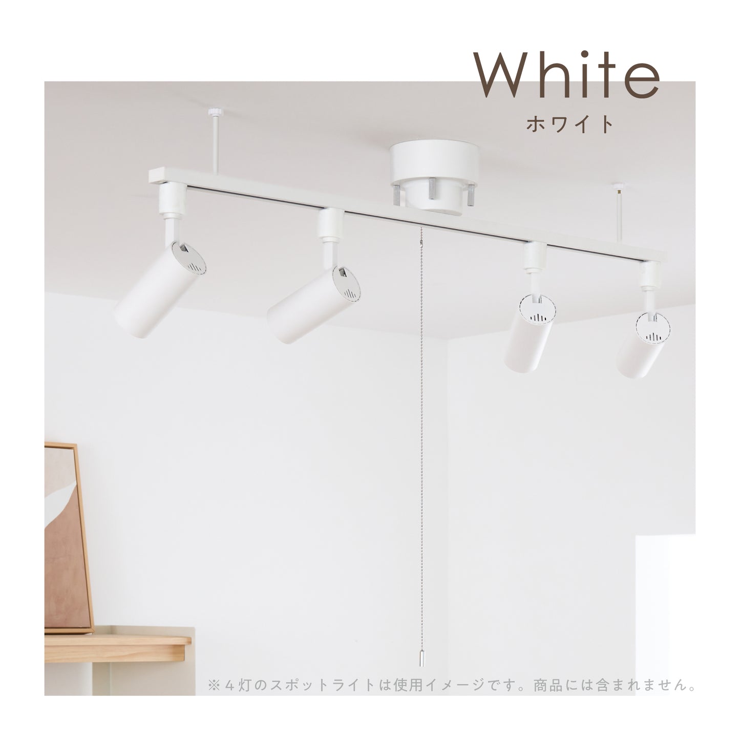 ダクトレール Kalos-C100（カロス-C100）