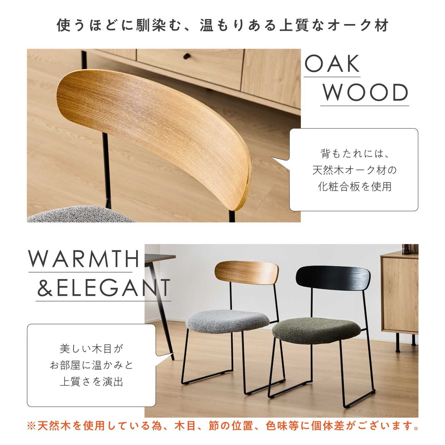 ダイニングチェア Lizon（リゾン）