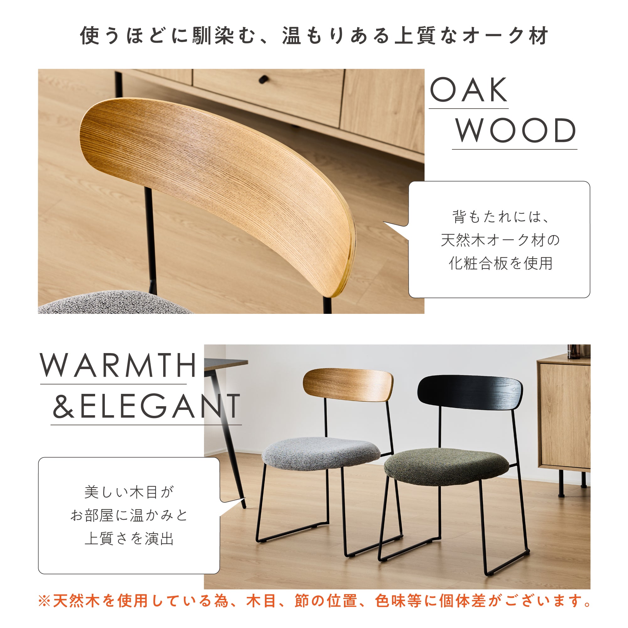 ダイニングチェア Lizon（リゾン）