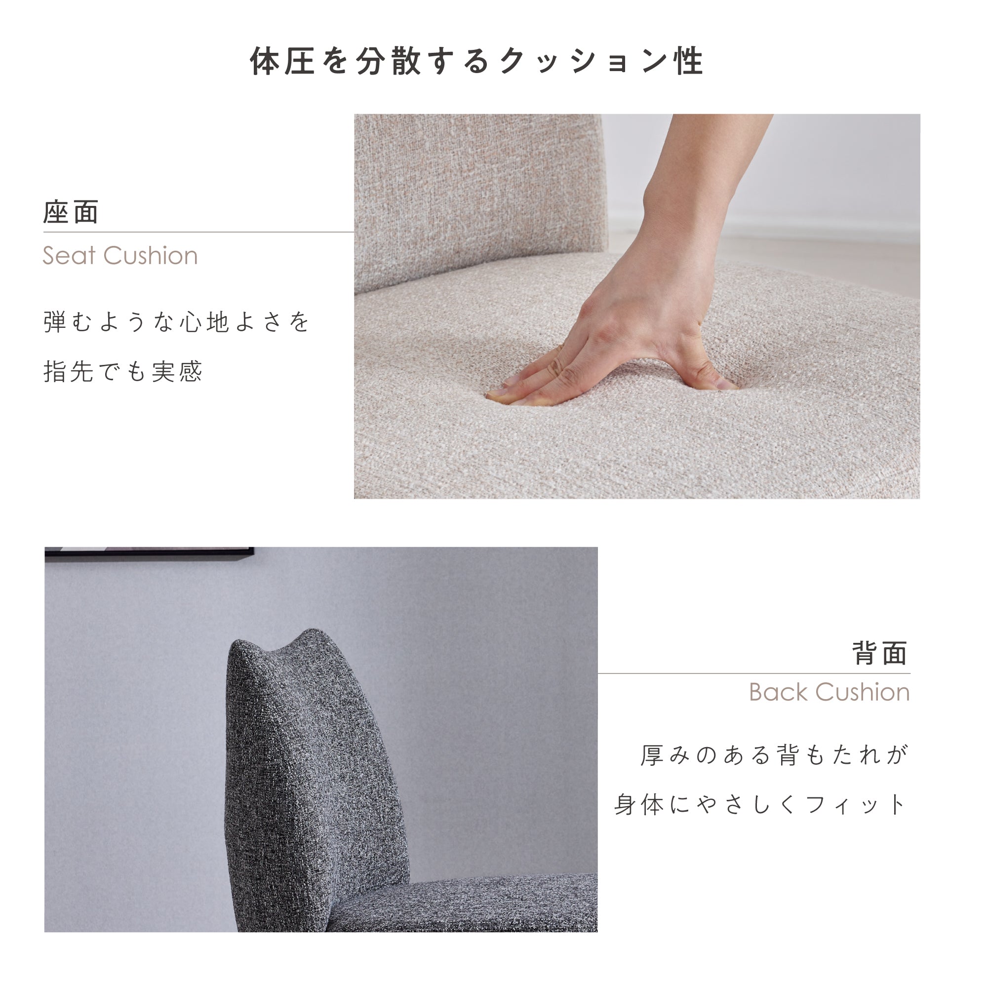 ダイニングチェア Mofina（モフィナ）
