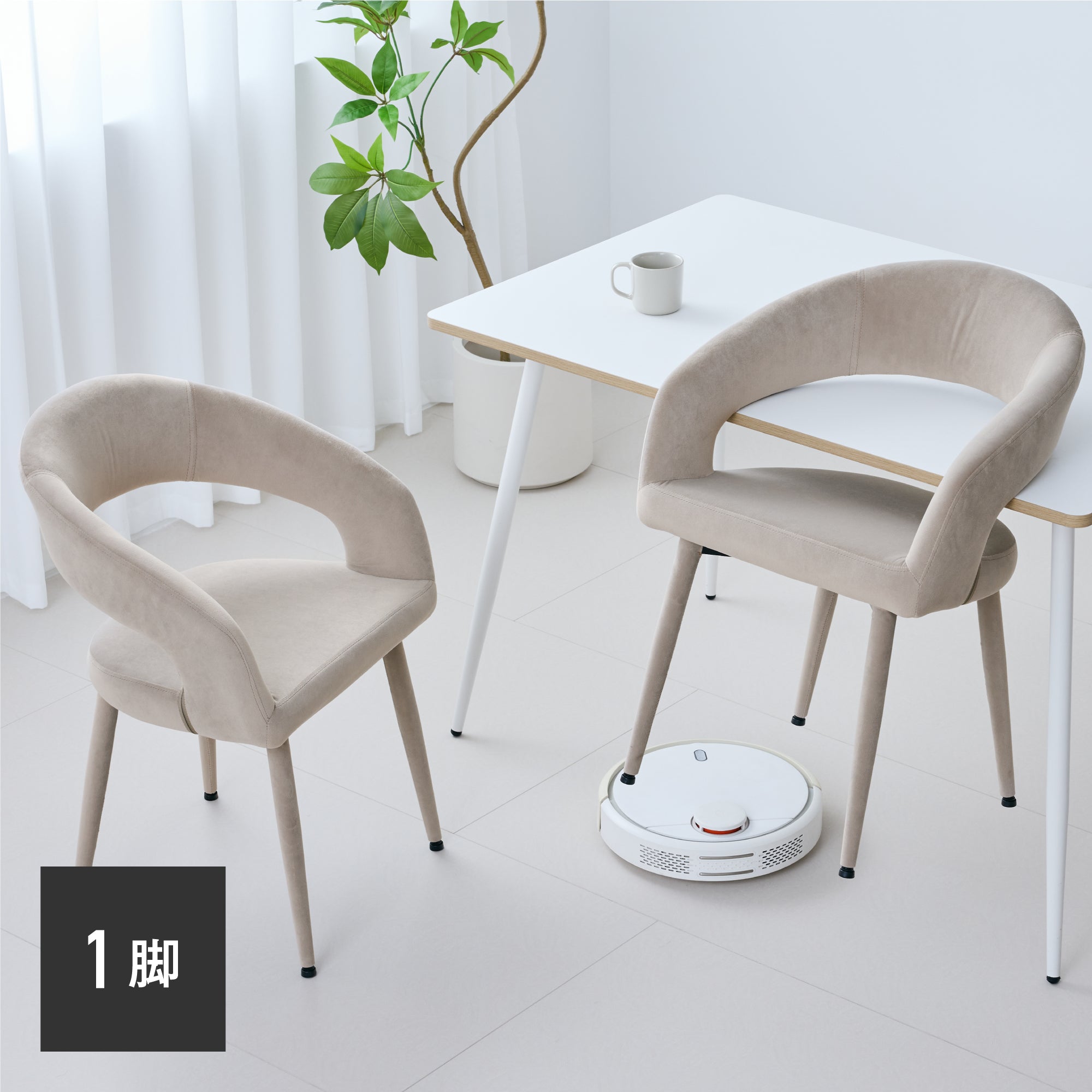 ダイニングチェア Oreto（オレト）