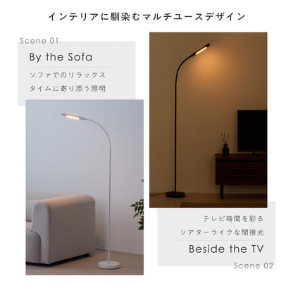 フロアライト Lodia (ロディア)