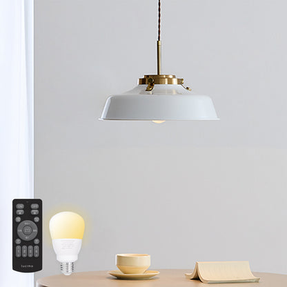 ペンダントライト Chictal（チクタル）