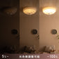 シーリングライトKoga・Seifu・Scelto