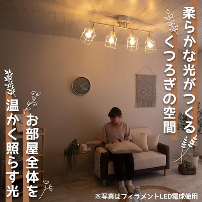 シーリングスポットライトVerona+(ヴェロナプラス) - FINE KAGU 公式