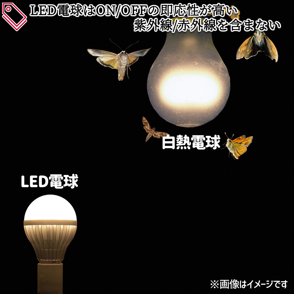 LED電球 口金E26 100w相当 SmartBulbIIBright【電球1個(リモコン別売り)】